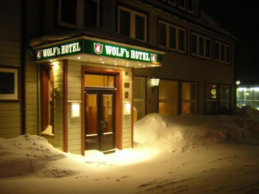Отель Wolfs Hotel  Клаусталь-Целлерфельд